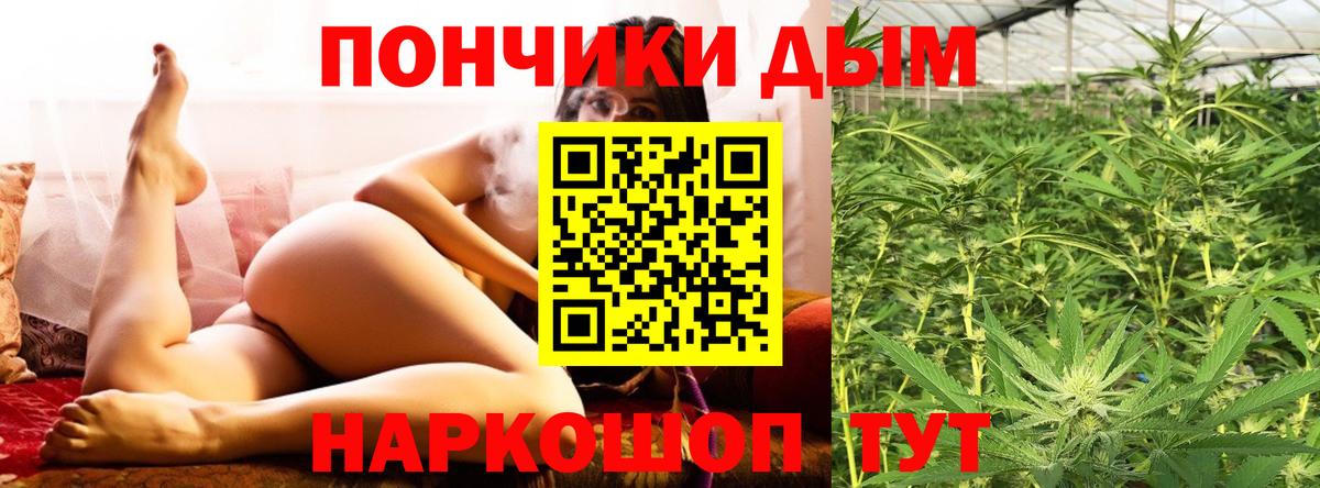 Бошки Шишки планчик Карталы